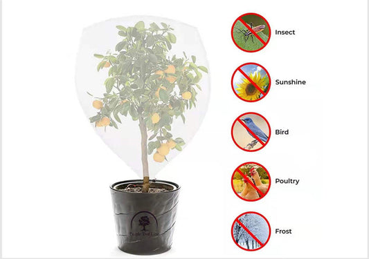 Bird & insect proof covers for garden fruits & vegetables